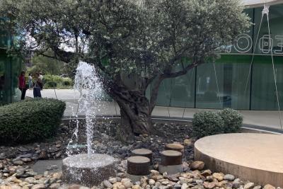 Agrandir l'image 1 sur 8, fenêtre modale